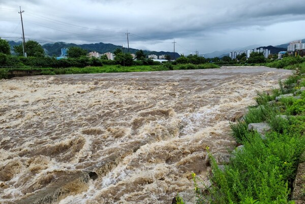 강원도 원주천 강한 폭우로 하천이 토사와 함께  흘러내리고 있다.