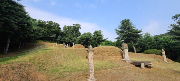 조선 제15대 왕 광해군의 장인으로 문신을 지낸 류자신 선생의 묘. 현재 시흥시 향토유적 제4호로 지정되어 있다.