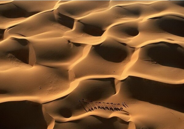 -얀 아르튀스 베르트랑의 사진 '모리타니 모래언덕 캐러번'-