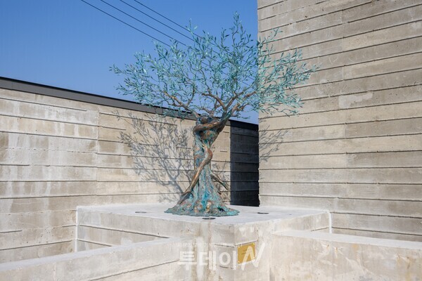 광장 중앙의 ‘생명나무’ 조형물이 순교의 희생이 생명으로 이어졌음을 상징적으로 드러낸다.